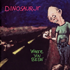 Dinosaur Jr. - Where You Been