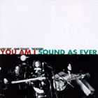 You Am I - Sound As Ever